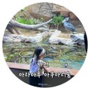 사천수산동물병원 | [공지] 사천 아라마루 아쿠아리움｜수영하는 하마 하식이와 국내최초,국내유일 동물이 많은 아쿠아리움