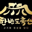 한반도축산