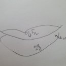 포도나무치과의원 이미지