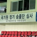 차오름태권도 체육관 이미지