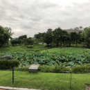 용연주유소 이미지