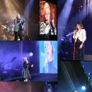 더바이브 이미지