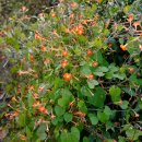 회남재길 이미지