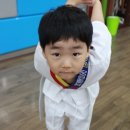 jin.s 태권도장 이미지