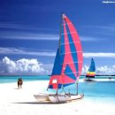 대경마트 이미지