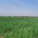 성지농원 이미지