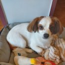 청두곶6길 8 이미지