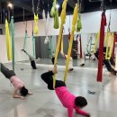 봉곡동397 | 플라잉요가” | 구미 요가 | 구미 로우 플라잉요가 | 해먹요가 | 수업 후기 | 겨울요가가 특히 좋은 이유!