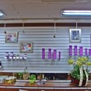 천연머리염색 이미지