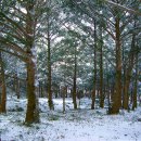 고흥-6호 이미지