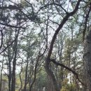 퇴계동입구 이미지