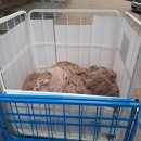 강원세탁산업 이미지