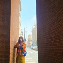 상해 | 중국 상하이 3박4일 여행 경비 일정 상해 여행 후기