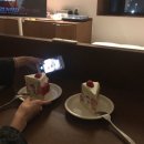 비상팜 | 수원|행궁동 감성 자쿠지 숙소|레스트팜 2인 에어비앤비 내돈내산 후기