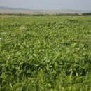 보리마을농장 이미지