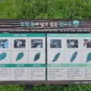 탄현체육공원 | 고양 탄현근린공원 2단계 조성사업으로 자연친화적인 공원 기대