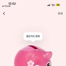 꽃돼지세상 이미지