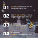 뮤지엄다 이미지