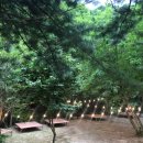 덕동하늘숲펜션 이미지