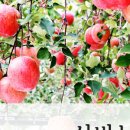 선비농장 이미지