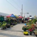 군산대야시장 이미지