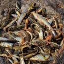 하남-신장-신장4호 | 🍜 남한강매운탕 &amp; 홍대포 - 어죽 맛집 후기