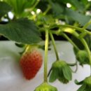 비량농원 이미지