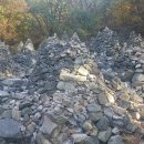 계양산산림욕장(장미원) 이미지