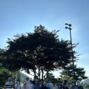 보스턴샐러드하우스 평내호평점 | 🏌️‍♂️ 7월 행복골프훈련소 평내호평점 연합 월례회 후기