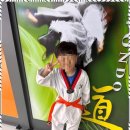 XPL태권도장 이미지