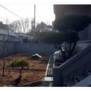 강릉 탑 공인중개사사무소 이미지