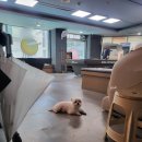 장산당구클럽 이미지