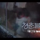 청춘헤어 - 김해시 | 청춘헤어