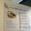 호주식월남쌈 ONE | 동탄 호수공원 맛집[호주식 월남쌈 ONE] 방문 후기