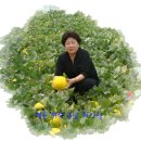 철수 농장 이미지