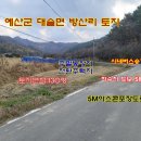 대술농장 이미지