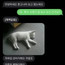 진상 이미지