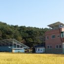 세원 발전소 네이버블로그