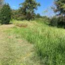 춘포면-12 이미지