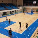매주 화요일 19~21:50 구리시체육관(전 WKBL 경기장) 팀원 모집합니다. 이미지