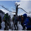 하얀천국 이미지