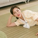 꿀잠자리 이미지