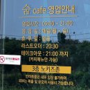 법인제이에이치관광농업 | 카페] 1만 4천 평 정원과 관통하는 소나무의 압도적 스케일! 서산 음암면 '온다원 숨' 솔직 방문 후기 🌲☕️