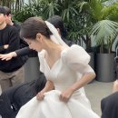 2024.02 ✿Alwaystogether✿얼웨이즈투게더/본식 서브스냅/아이폰스냅 후기/식물관ph 웨딩