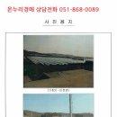 중앙초등학교화남분교 이미지