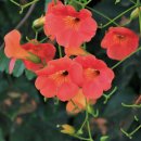 뚝섬한강공원-27 이미지