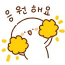 레드문 뷰티 이미지