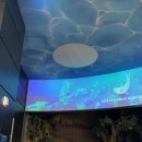 대소동물병원 이미지