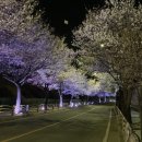 전곡읍-13 이미지