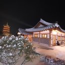 농업회사법인 주식회사 체리파파 이미지